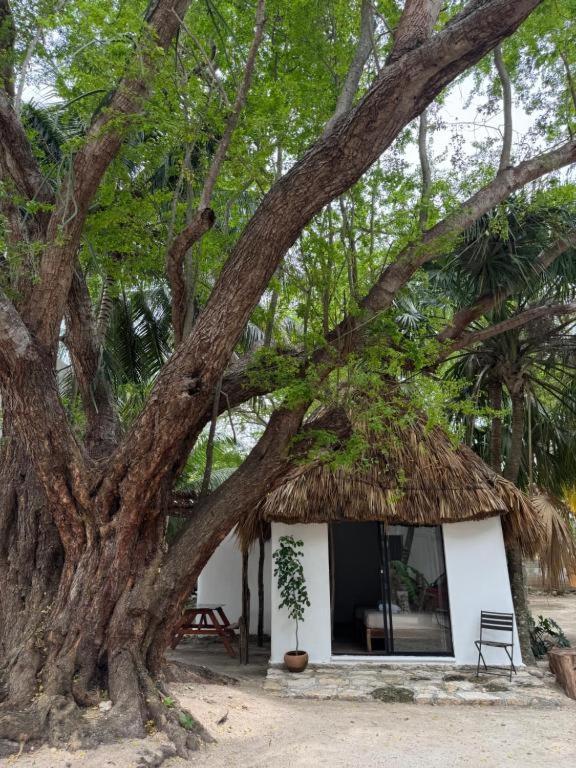 Cabanas Camping Ria Celestun Bagian luar foto