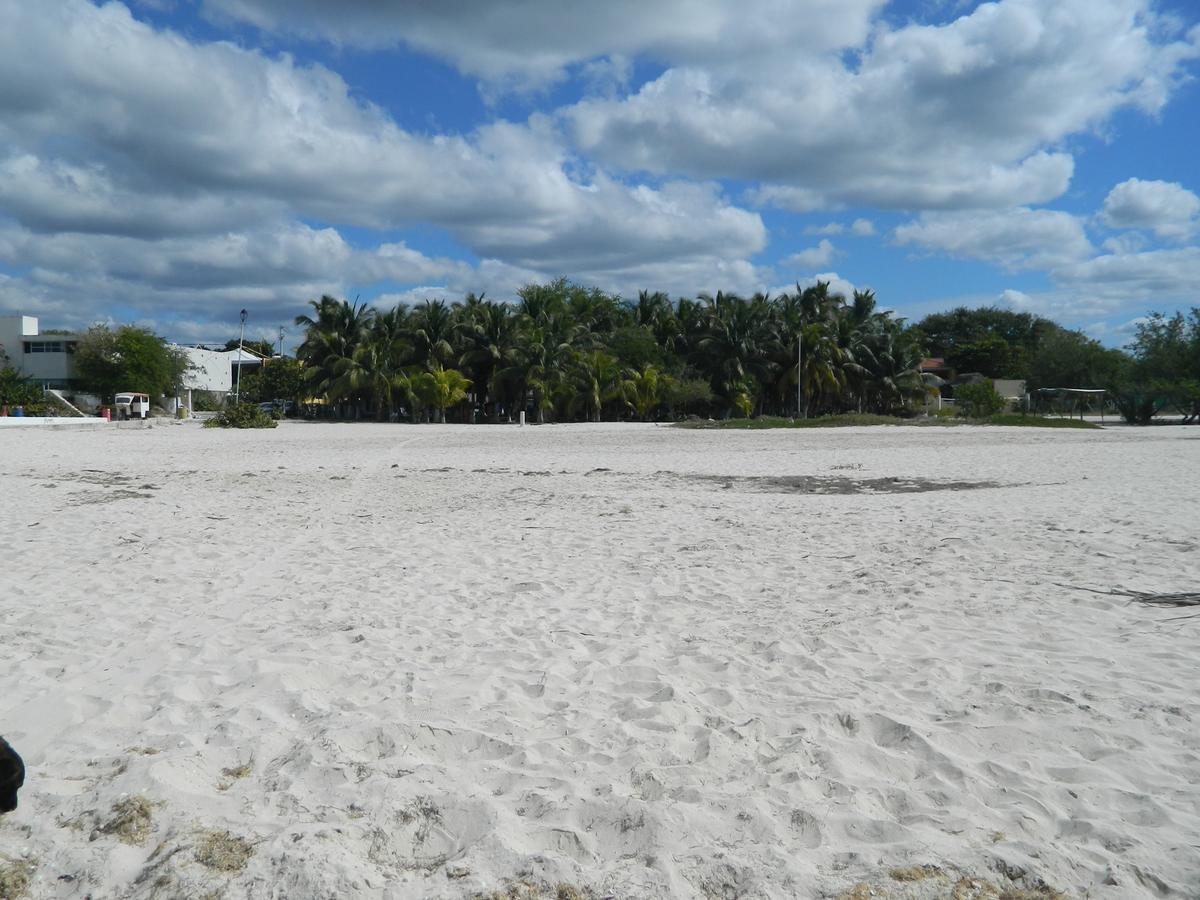 Cabanas Camping Ria Celestun Bagian luar foto
